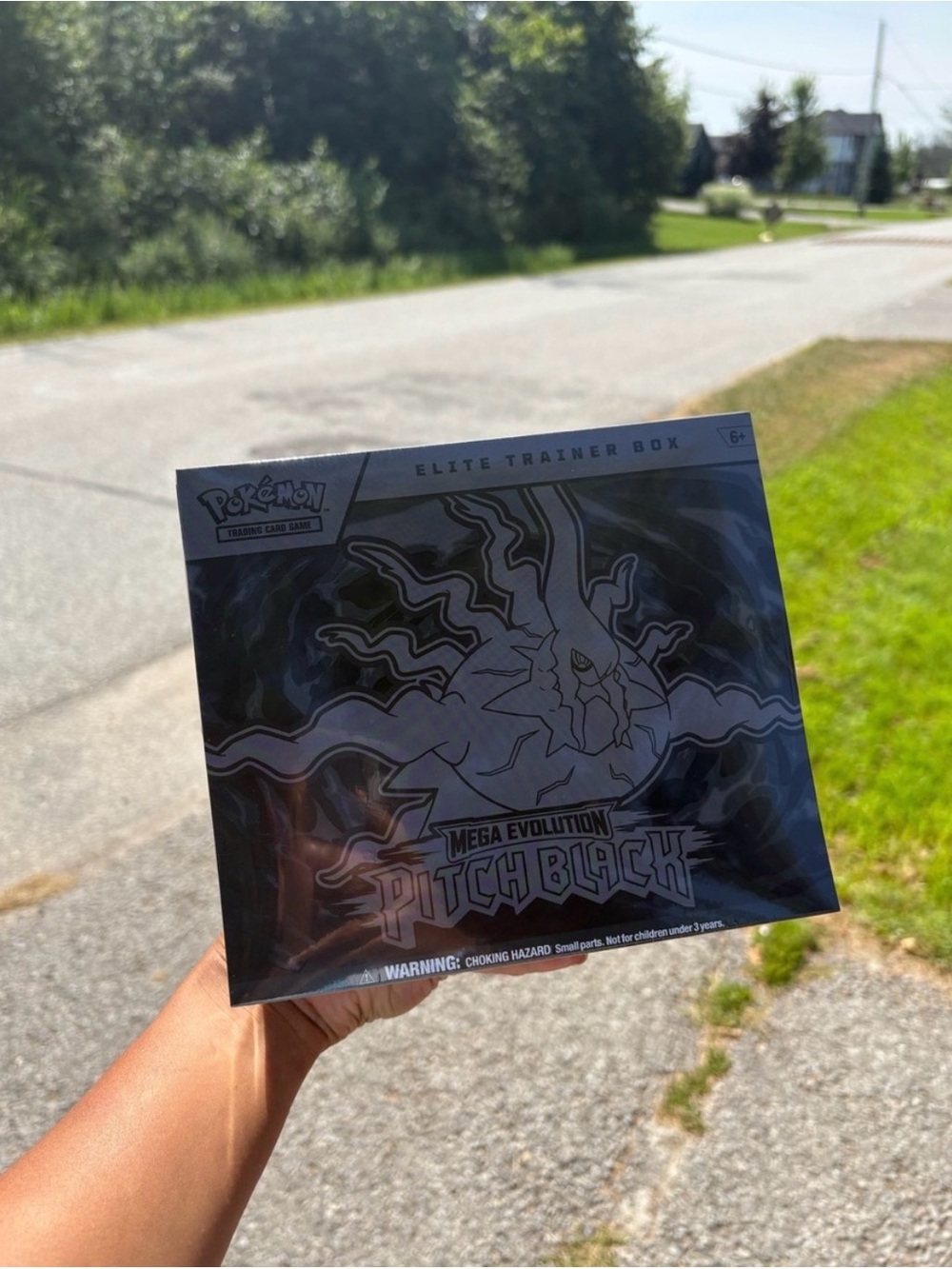 Pokemon pitch black